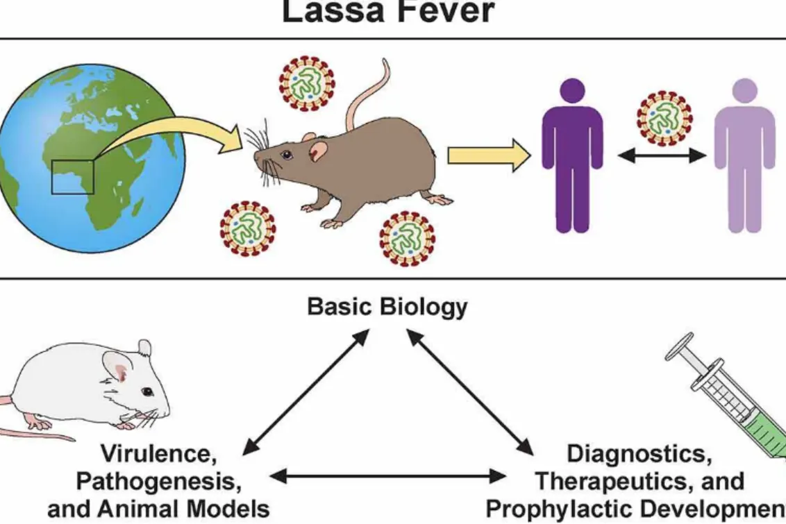 Lassa Fever and Septic Fever: Clinical Profiles, Risk Factors, and Predictors of Mortality, Analysis of Early Clinical Predictors and Biomarkers, Global & India Mapping the Co-Prevalence, AI and 3D Identification - Issue cover