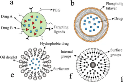 Artificial Intelligence–Driven Translational Nanomedicine in Oncology: Multistage Targeting Strategies, Clinical Advances, and Future Directions for Liver, Breast, Kidney, and Brain Cancers - Issue cover