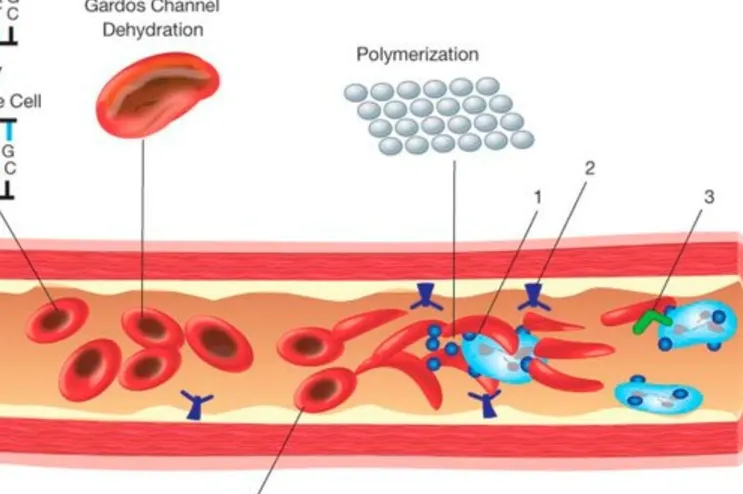 Leptospirosis/Weil's Disease: Pathogenesis, Epidemiology, Bio-Screening, Next-Generation Interventions Powered by AI, ML, Modeling, 3d Fingerprinting, Cover Etiology, Treatment Horizons, Fungal, Mosquito and Airborne Infection - Issue cover