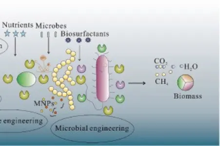 Cover image for Microbial Bioremediation for Environmental Sustainability: Recent Developments