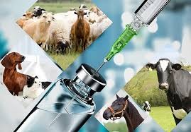 Analytical Method Validation in Pharmaceutical Quality Control: Current Guidelines and Challenges - Issue cover