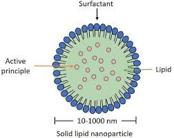 Solid Lipid Nanoparticles and Nanostructured Lipid Carriers: A Review on Their Role in Targeted Drug Delivery Systems - Issue cover