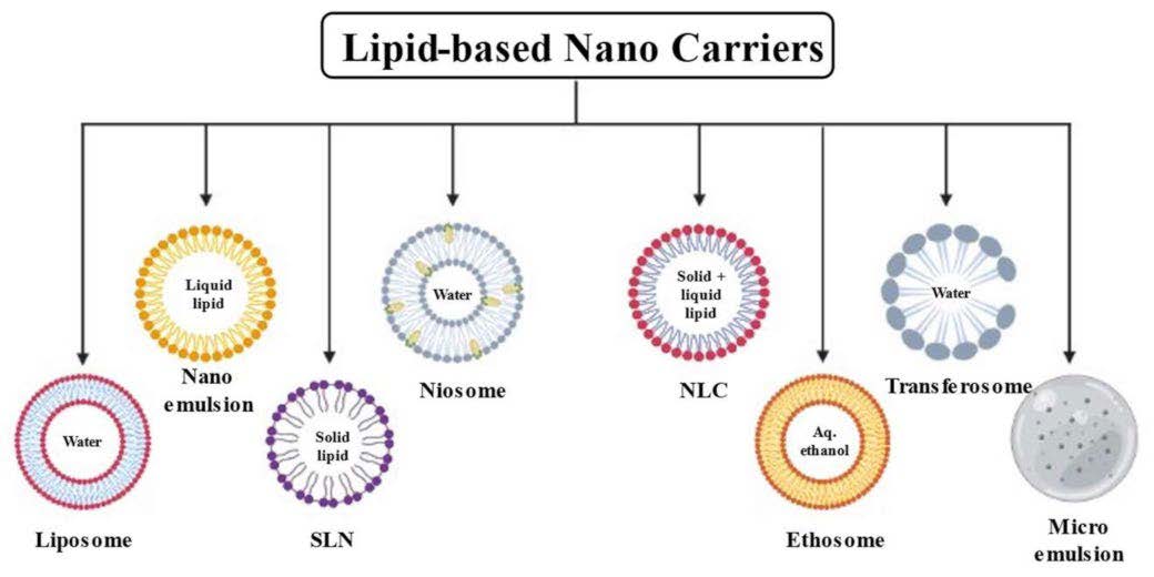 Lipid-Based Nanocarriers for Oral Delivery of Poorly Soluble Drugs - Issue cover
