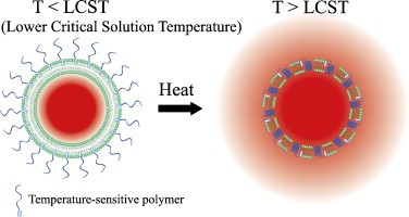 Advances in Thermosensitive Liposomes for Site-Specific Drug Release - Issue cover