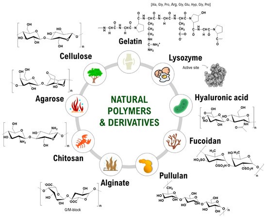 Exploring Natural Polymers for the Development of Nifedipine Sustained-Release Matrix System - Issue cover