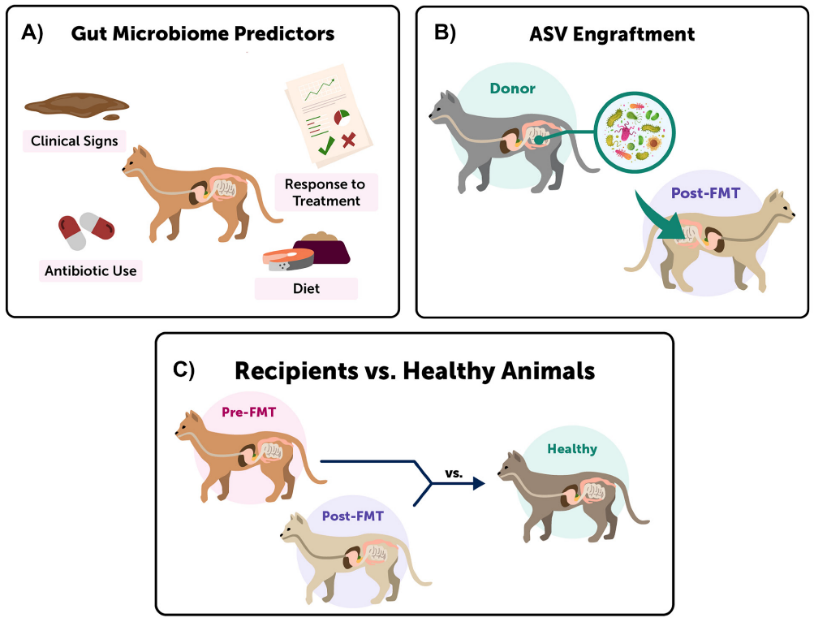 Role of Gut Microbiota in the Development of Obesity and Diabetes - Issue cover