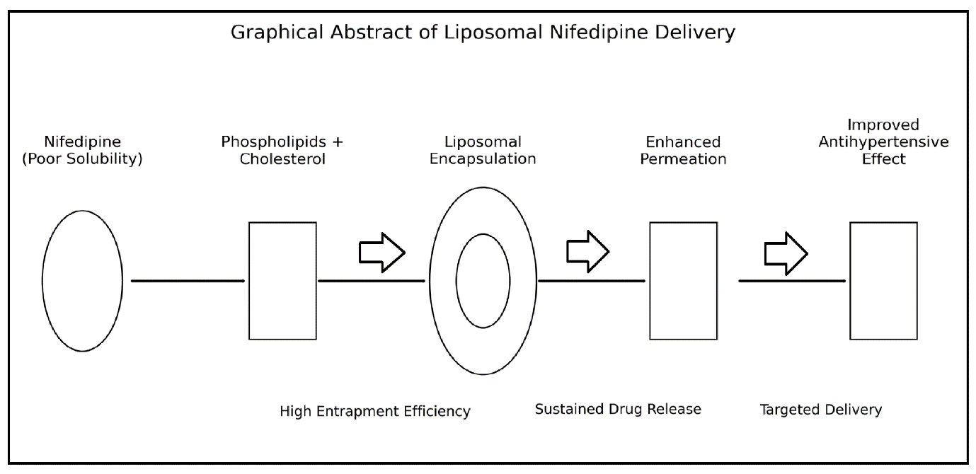 Design And Evaluation of Nifedipine-Loaded Liposomal Nanocarriers for Enhanced Drug Delivery and Sustained Antihypertensive Therapy: A Systematic Review and Meta-Analysis - Issue cover