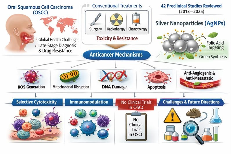 Silver Nanoparticles in Oral Squamous Cell Carcinoma Therapy: A Systematic Review of Preclinical Evidence - Issue cover