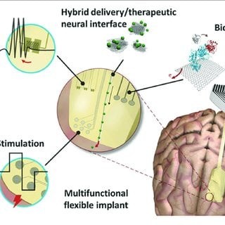Biocompatible Control: The Integration of Graphene-Based Neural Interfaces and Adaptive AI Systems - Issue cover