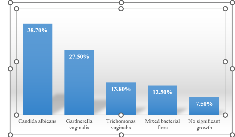 Cross-Infection Patterns and Urogenital Health Outcomes in Men Partnered with Women Experiencing Infectious Vaginal Discharge: Leucorrhoea Influences Male & Female Sexual Desire - Issue cover